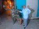 Programa del festival de Son decano de Cuba «MATAMOROSON» #santiagodecubacunadelson