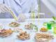 La liga de la salud: cinco moléculas de origen vegetal con beneficios demostrados