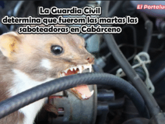 La Guardia Civil desvela el caso de los sabotajes de vehículos en Cabarceno Video: «Marta, la saboteadora en acción»