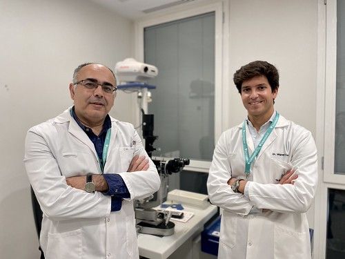 Sólo seis de cada diez andaluces corrigen sus defectos visuales Sólo seis de cada diez andaluces corrigen sus defectos visuales