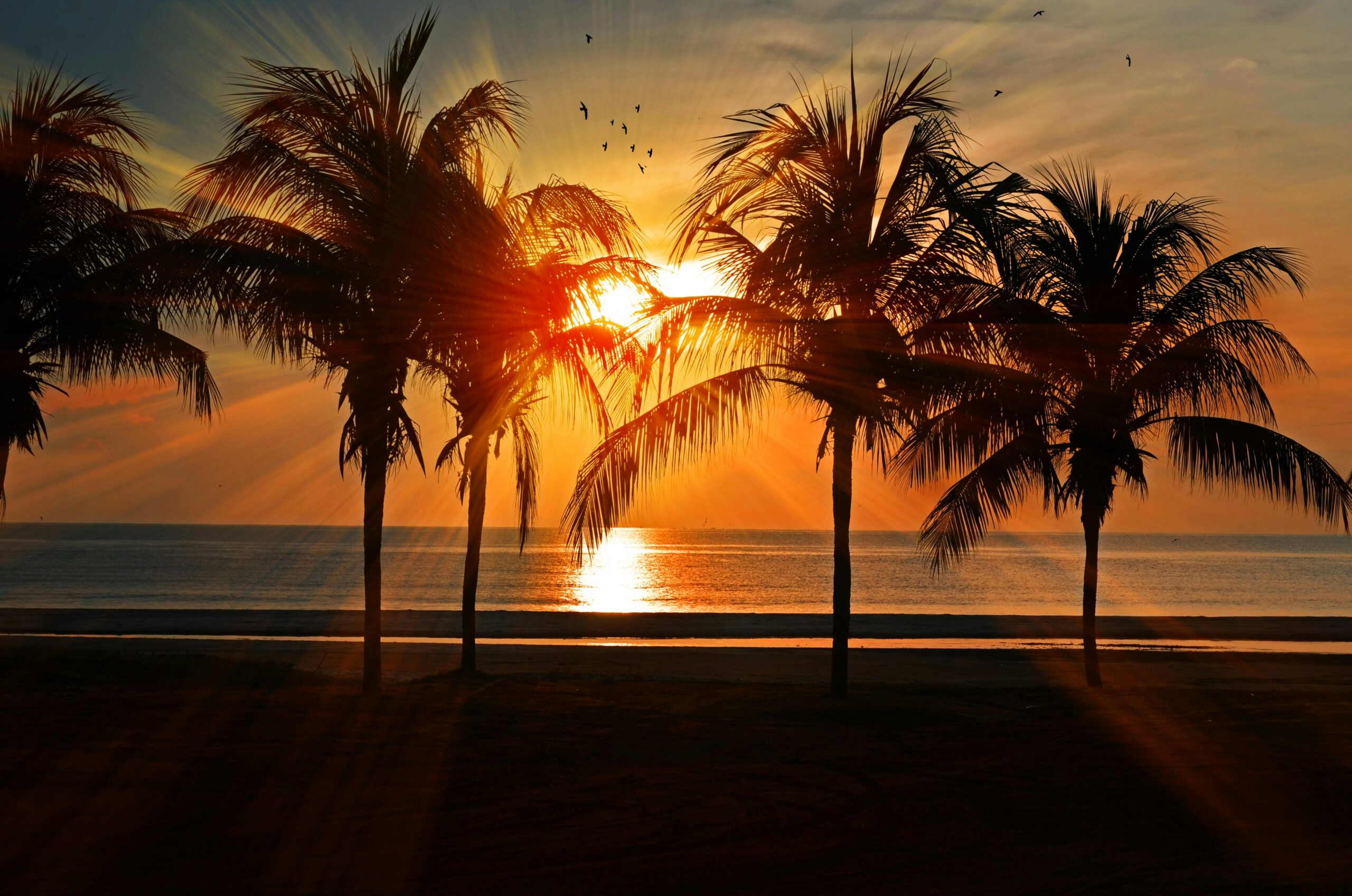 Playa, sol y naturaleza: 6 destinos para quienes desean desconectar y recargar energías Playa, sol y naturaleza: 6 destinos para quienes desean desconectar y recargar energías